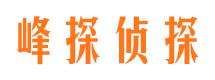 河池侦探